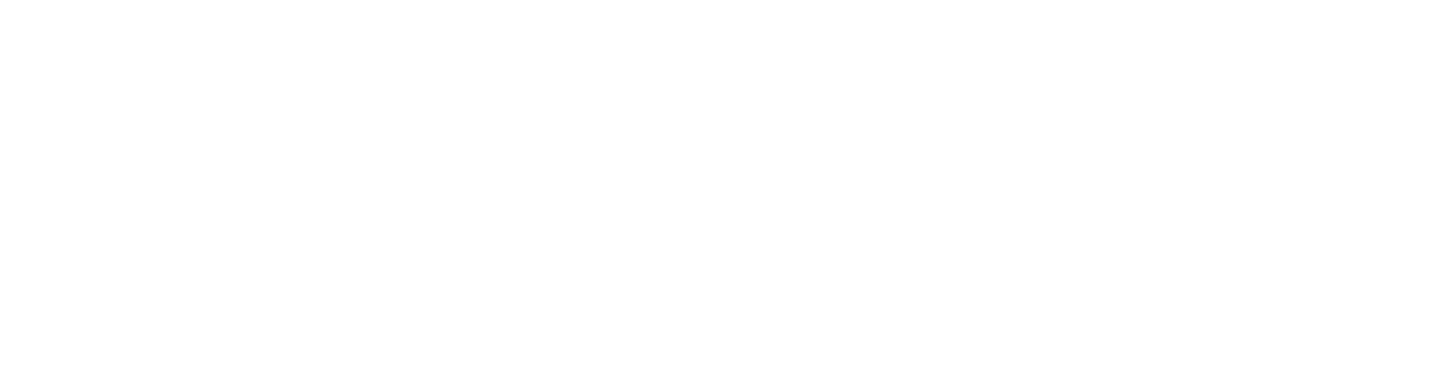 Logo Fundación Felipe Camiroaga